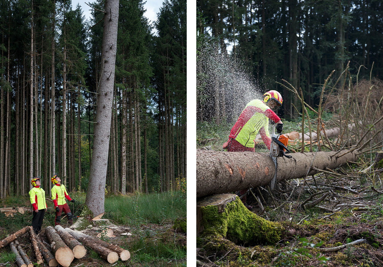 Waldarbeit: Pellets entstehen nur aus den Resten, die bei der Holzverarbeitung anfallen ©proPellets Austria