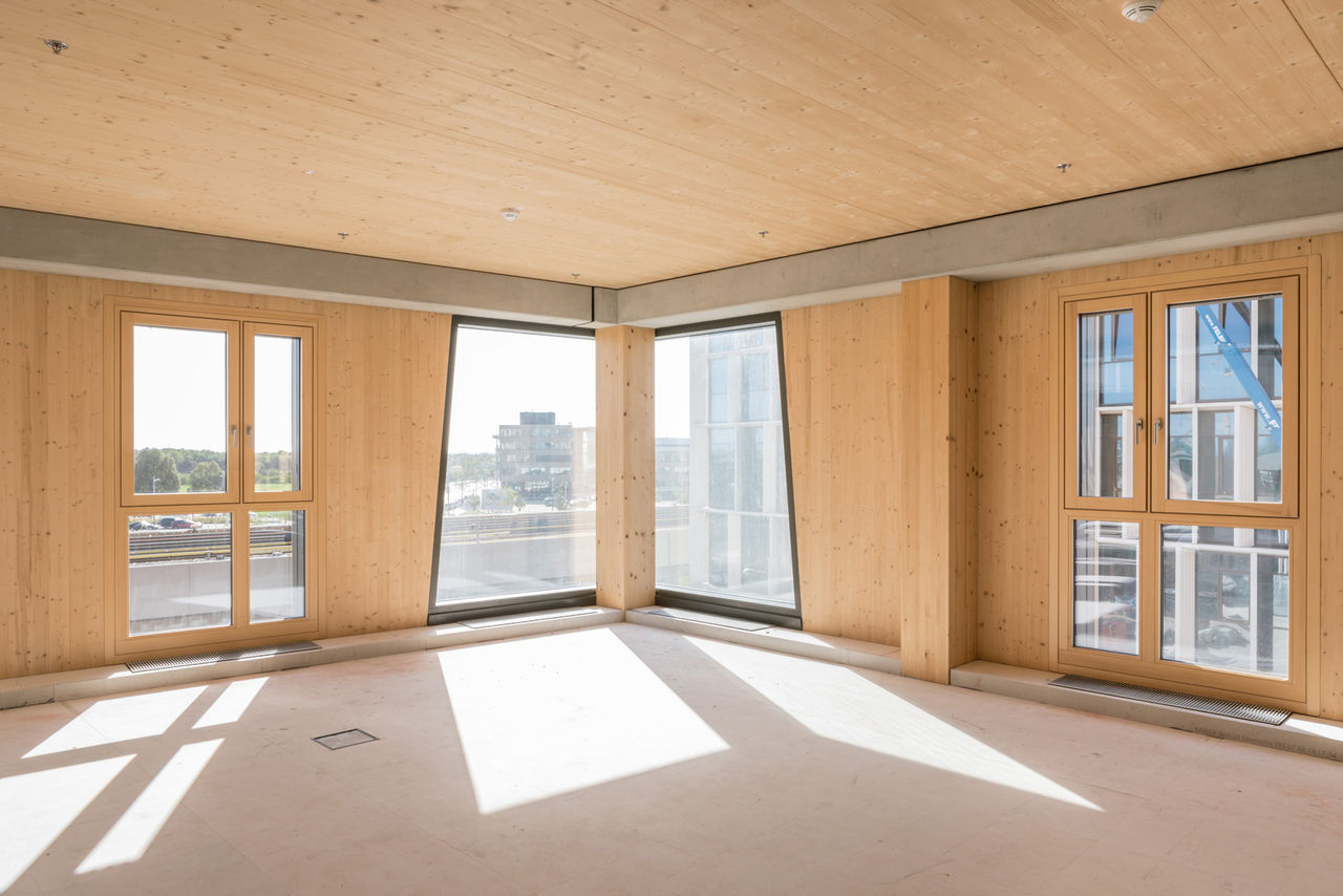 Sonnendurchfluteter Raum mit hohen Fenstern und Holzwänden