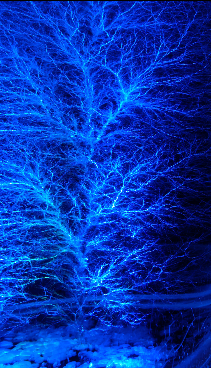 Die sogenannten „Lichtenberg-Figuren” entstehen durch elektrische Hochspannungsentladungen – bei einem Blitzschlag auch auf der Haut von Menschen.  | ©YvoBentele/Wikimedia Commons