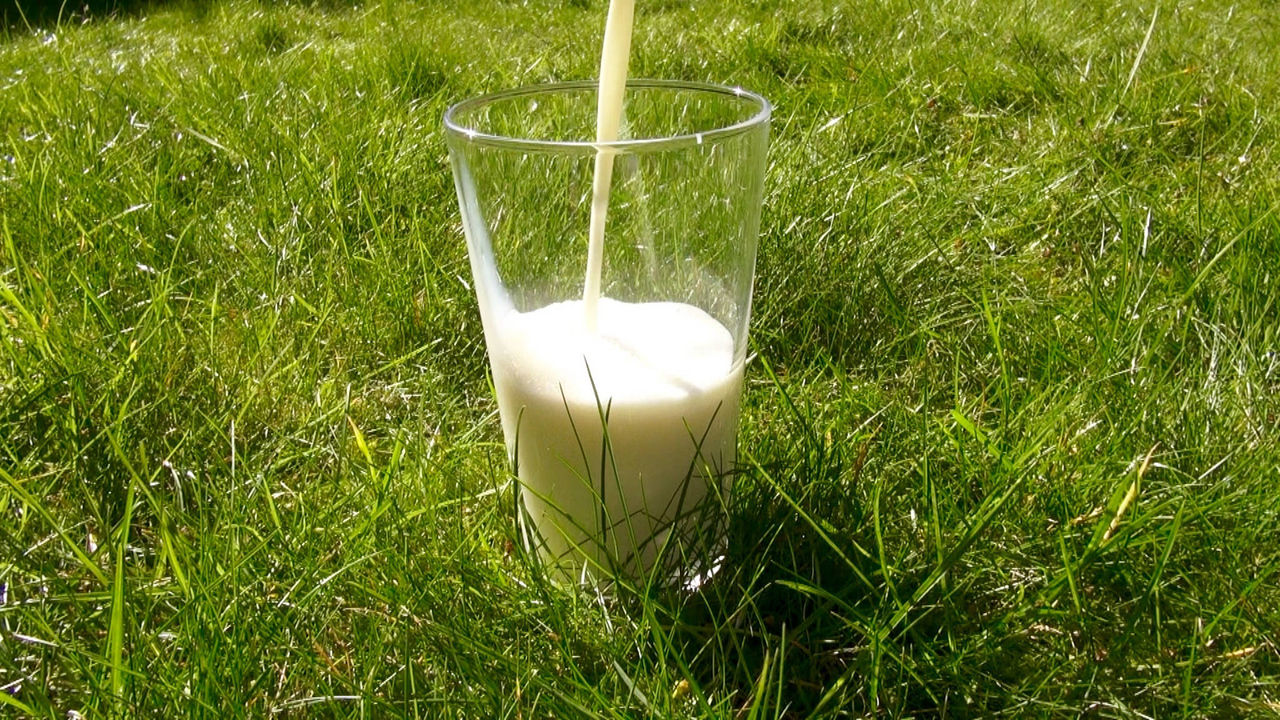 Braucht der Mensch wirklich Milch? © Health Gauge | flickr