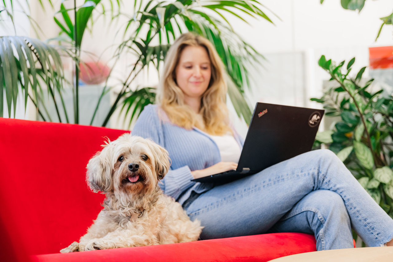 Bürohunde fördern das Wohlbefinden und das Miteinander am Arbeitsplatz