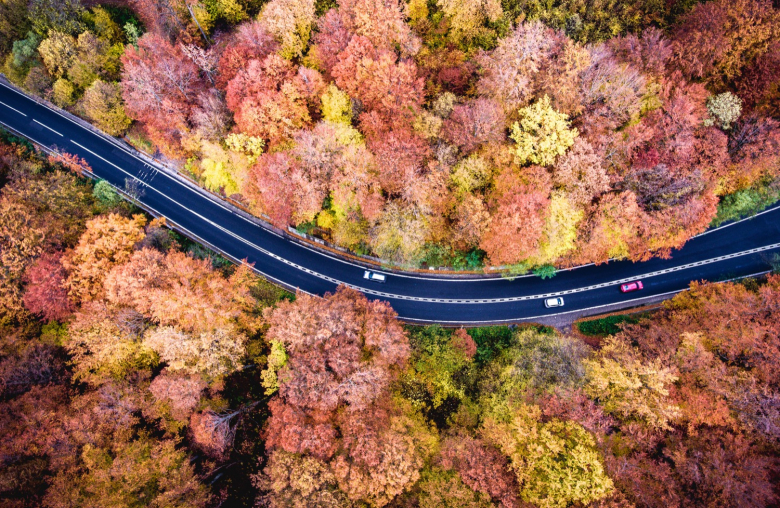 Der Herbst bringt tolle Farben mit sich. Für Autofahrer aber wird es nun tückisch. Sie müssen nun besonders vorsichtig fahren. (© Unsplash: Calin Stan)