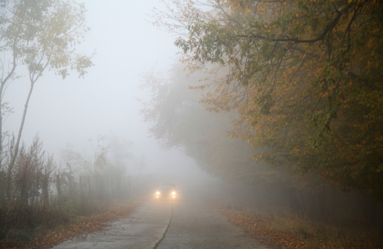 Schlechte Sicht: Bei Nebel solltest du runter vom Gaspedal. (© Pixabay: llulila)