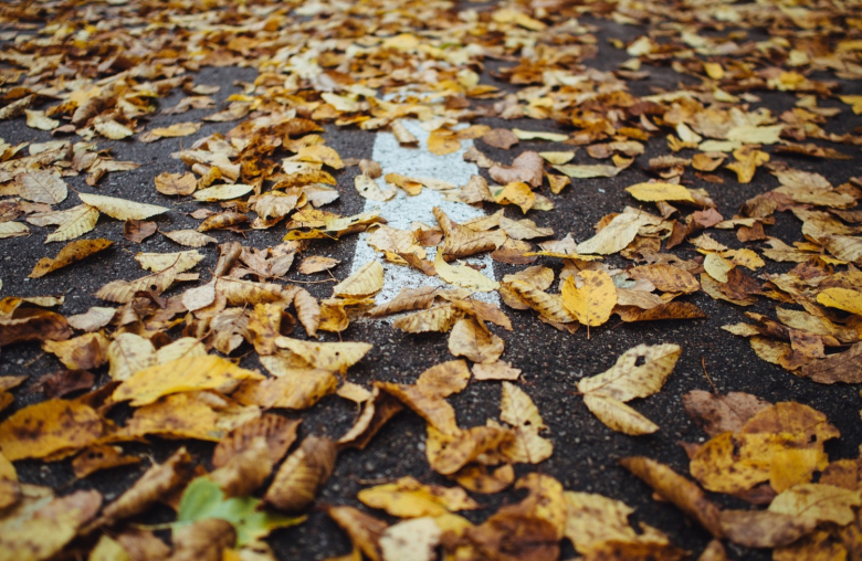 Vorsicht: Laub und Regen können zu einer gefährlichen Rutschpartie führen. (© Pixabay: Stocksnap)